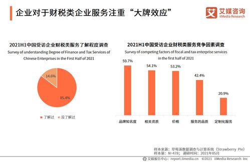2021上半年中國財稅企業服務洞察 信息技術咨詢驅動行業變革